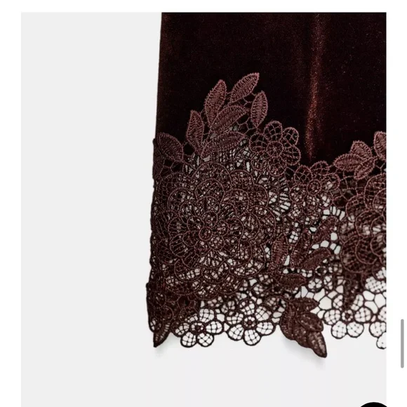 NWT Zara Velvet Lace Dress - Dark Brown - Size M - Picture 8 of 9